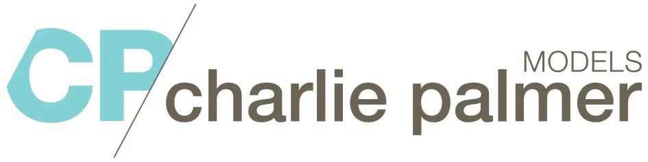 A WordPress Site